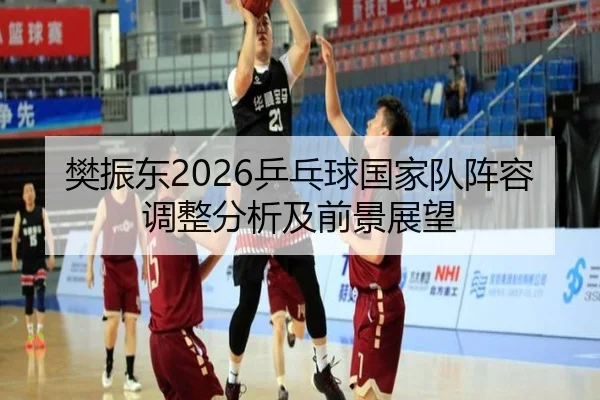 樊振东2026乒乓球国家队阵容调整分析及前景展望