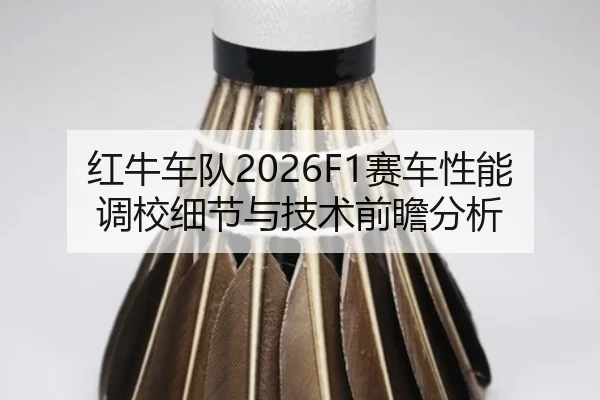 hong-niu-che-dui-sai-che-xing-neng-diao-xiao-xi-jie-yu-ji-shu-qian-zhan-fen-xi-2-748.jpg