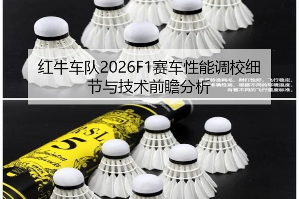 红牛车队2026F1赛车性能调校细节与技术前瞻分析