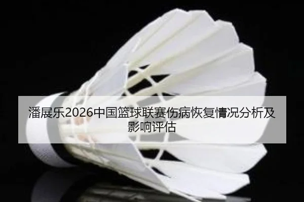 潘展乐2026中国篮球联赛伤病恢复情况分析及影响评估