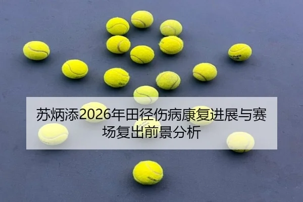 su-bing-tian-nian-tian-jing-shang-bing-kang-fu-jin-zhan-yu-sai-chang-fu-chu-qian-jing-fen-xi-2-232.jpg