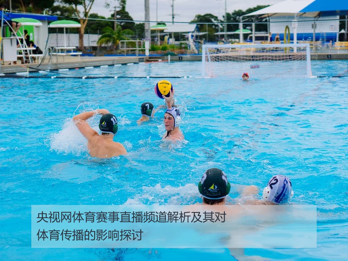 央视网体育赛事直播频道解析及其对体育传播的影响探讨